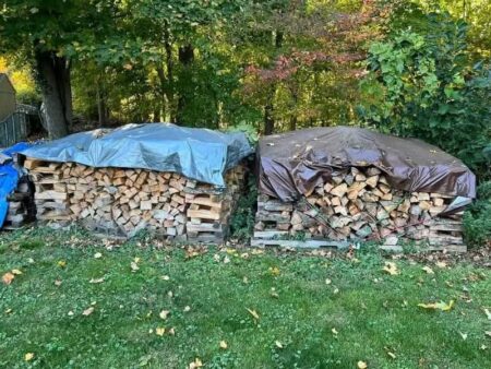 Palettes de stères de Bois sec